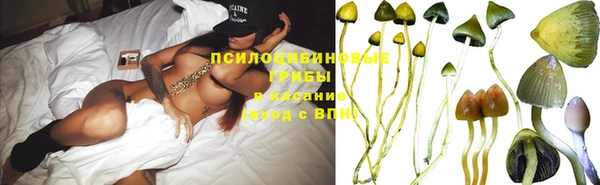 spice Верея