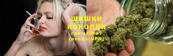 индика Верхний Тагил