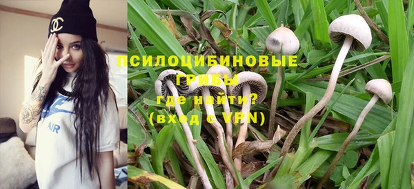 spice Верея
