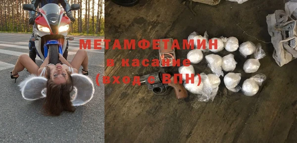индика Верхний Тагил