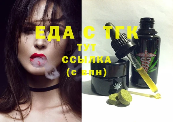 индика Верхний Тагил