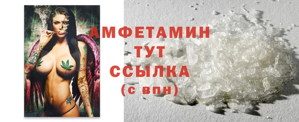 индика Верхний Тагил