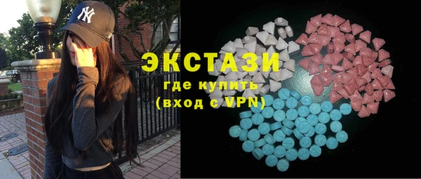 индика Верхний Тагил