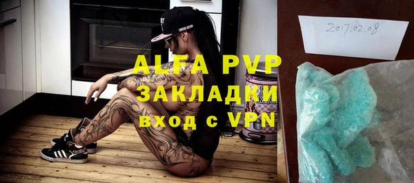 индика Верхний Тагил