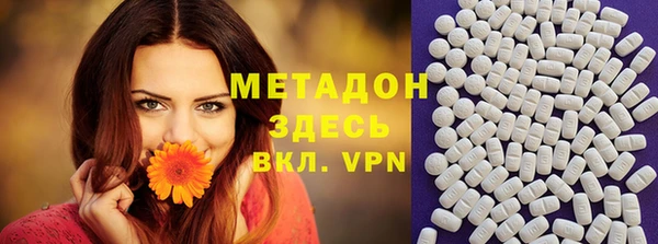 индика Верхний Тагил