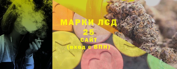 индика Верхний Тагил